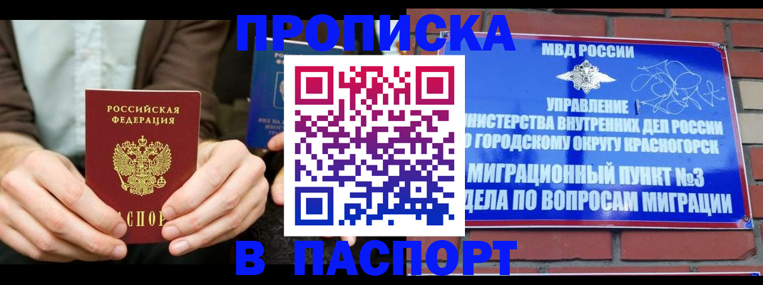 где прописаться в Ельне